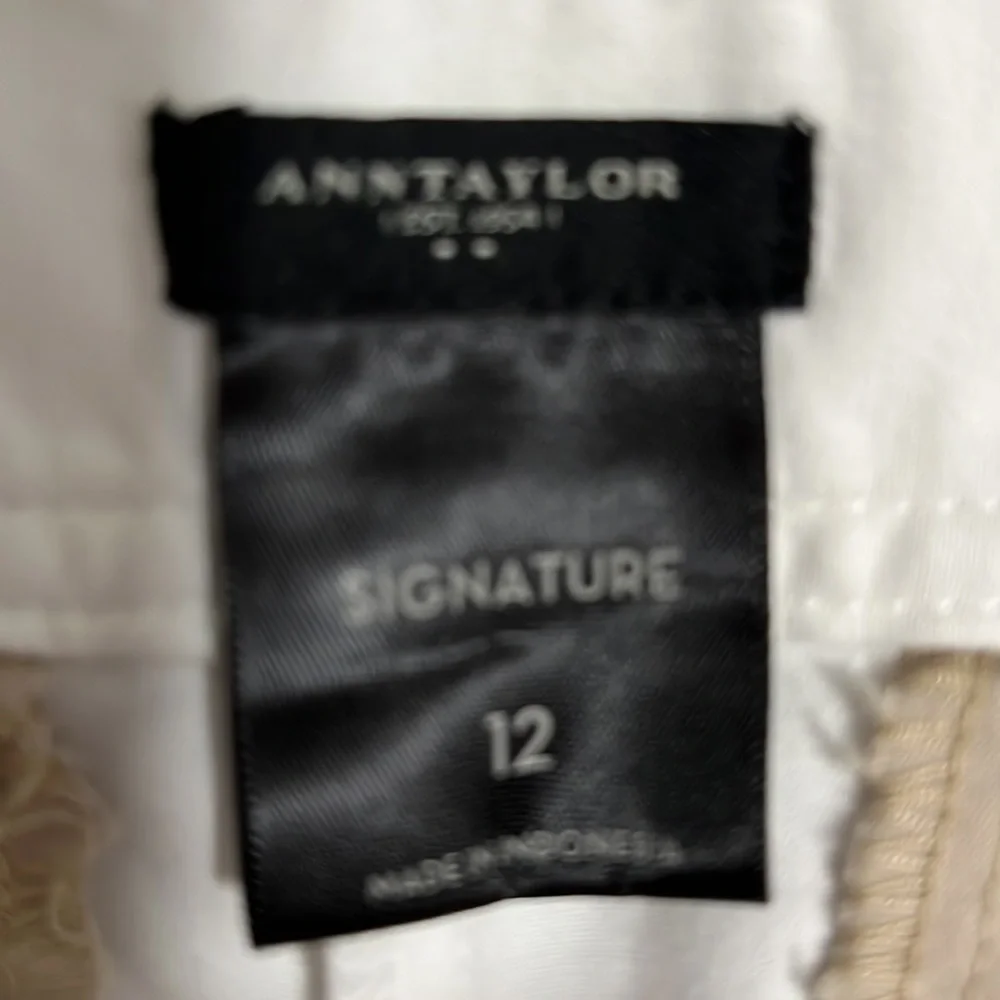 Ann Taylor ann taylor